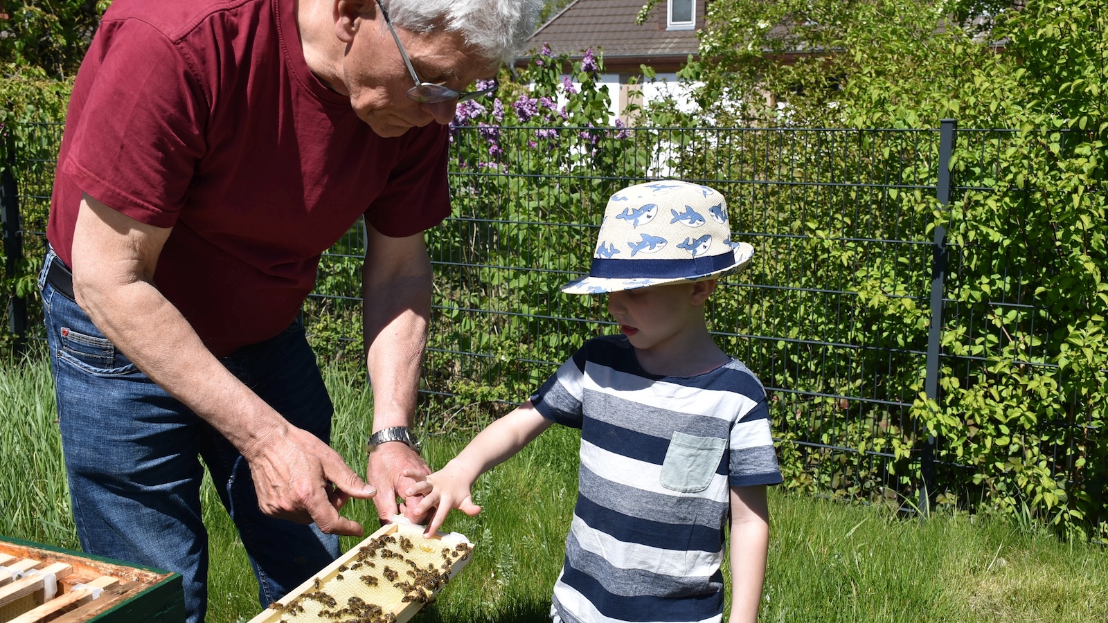 Bienen streicheln im Archäologiepark Höxter