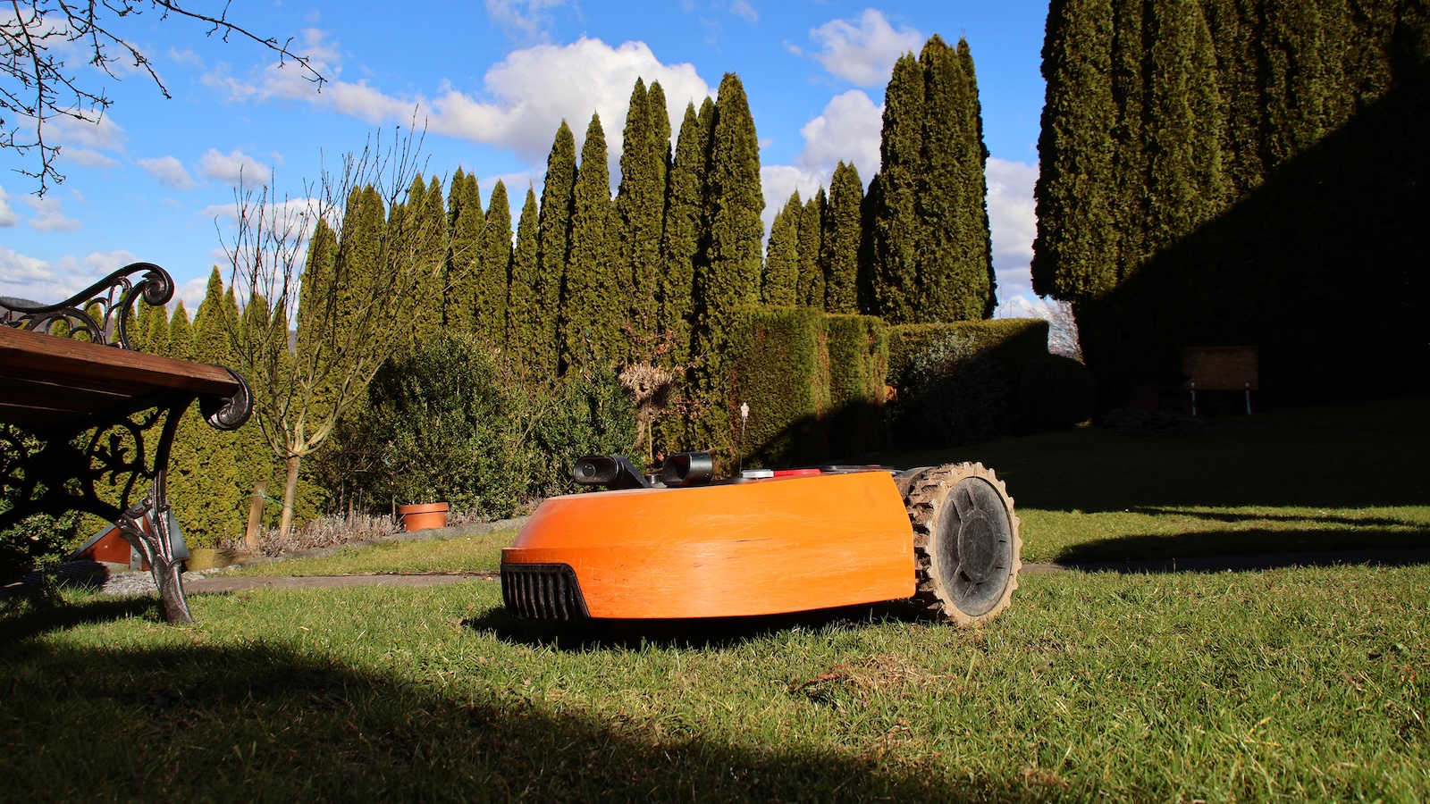 Zum Schutz von Igeln und anderen Tieren im heimischen Garten – Auch Mähroboter sollten Nachtruhe halten