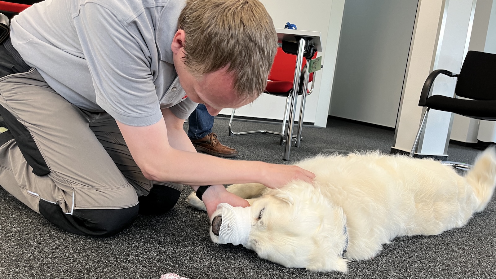  Erste-Hilfe-Kurs für Hund und Halter bei den Johannitern in Beverungen