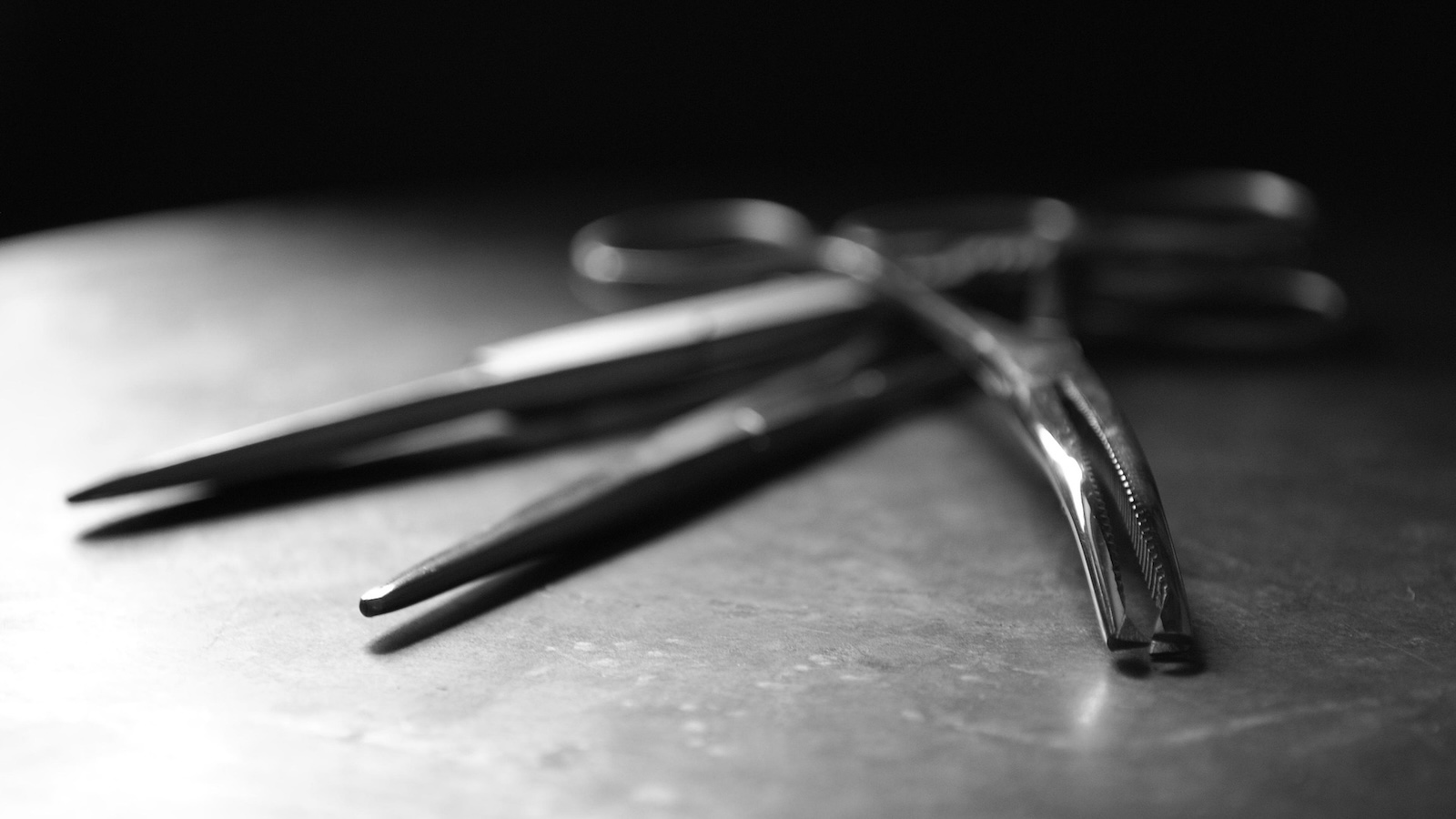 Obduktion bestätigt Todesursache nach Jagdunfall bei Warburg – Ermittlungen dauern an